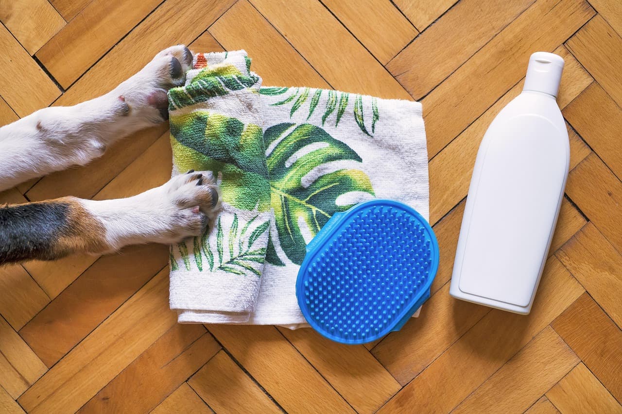 Dog's paws beside a towel, a grooming brush and shampoo on a wooden floor